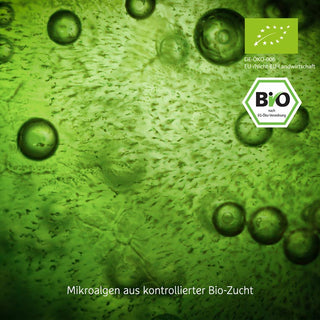 Bio Spirulina Tabletten