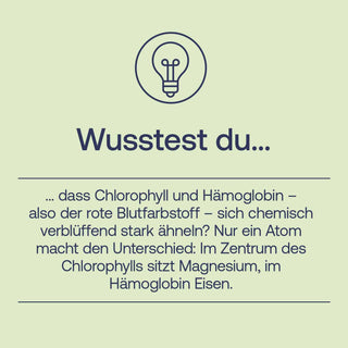 Chlorophyll Tropfen