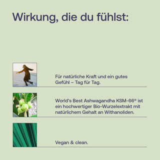 Bio Ashwagandha Extrakt KSM-66®