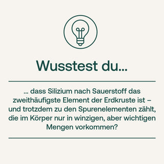 Silizium hochdosiert Kapseln