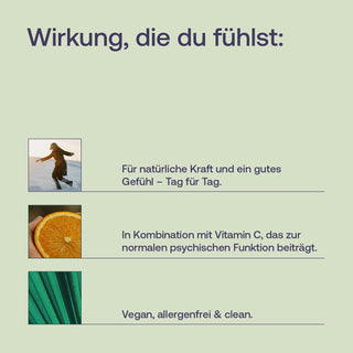 Infografik mit Text, Orange, Person im Schnee und grünen Blättern – vegan, allergenfrei, clean