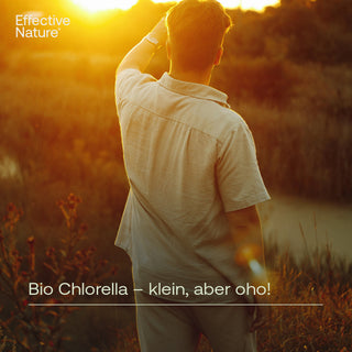 Bio-Chlorella
