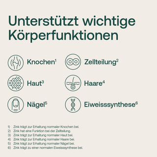 Infografik zeigt 6 Körperfunktionen die Zink unterstützt: Knochen, Zellteilung, Haut, Haare, Nägel und Eiweißsynthese