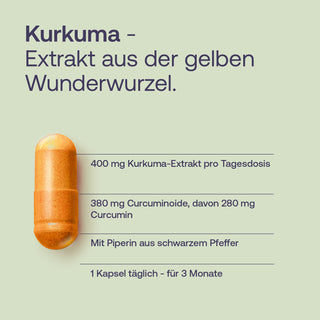 Kurkuma-Kapsel Infografik: 400 mg Extrakt, 380 mg Curcuminoide, Piperin, 1 Kapsel täglich