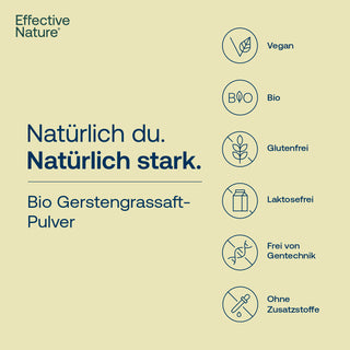 Bio Gerstengrassaft Pulver