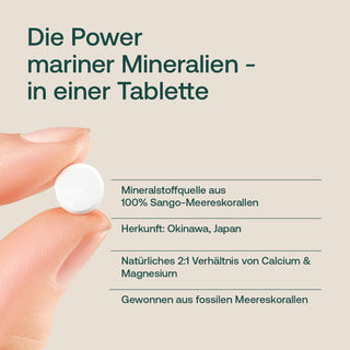 Hand hält kleine weiße Tablette, Infografik zu Sango-Meereskorallen-Tablette mit Calcium und Magnesium