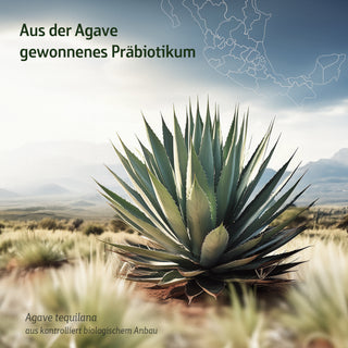 Combi Flora Inulin-Pulver