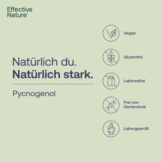 Pycnogenol® - Pinienrindenextrakt