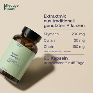 Leber Komplex