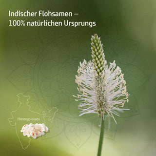 Combi Flora Flohsamenschalen-Pulver