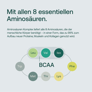 Infografik: Aminosäuren Komplex mit allen 8 essentiellen Aminosäuren – Leu, Val, Iso (BCAA), Trp, Met, Thr, Lys, Phe