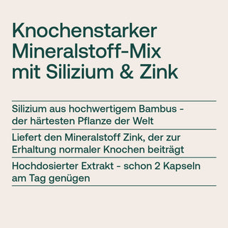 Silizium hochdosiert Kapseln