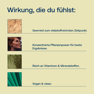 Bio Gerstengrassaft Pulver