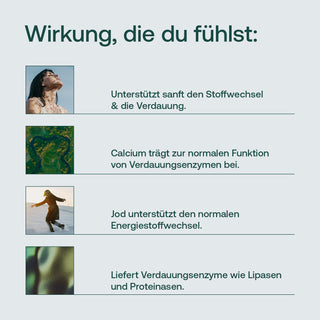 Infografik mit Text „Wirkung, die du fühlst" sowie vier Bildmotiven: Person, Luftaufnahme, Winterszene, Nahaufnahme Pflanze