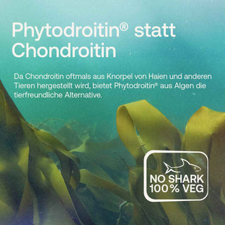 Glucosamin Komplex Kapseln