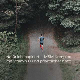 MSM Komplex Kapseln