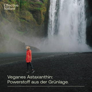 Astaxanthin aus Island - vegan