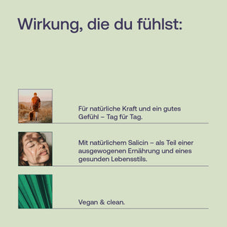 Weidenrinde
