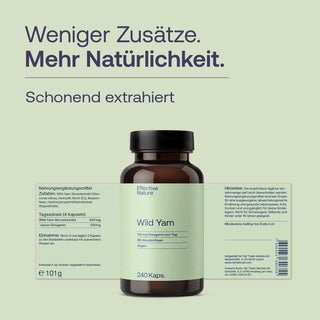 Wild Yam Extrakt