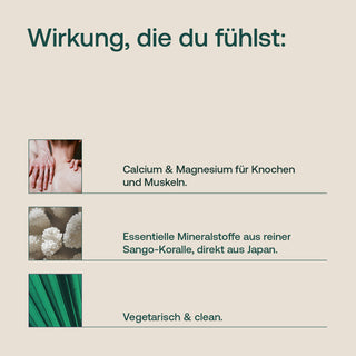Infografik mit Text „Wirkung, die du fühlst" zu Calcium, Magnesium & Sango-Koralle, vegetarisch