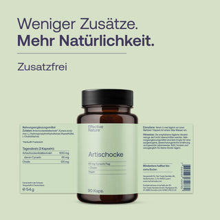 Artischockenextrakt mit Cholin
