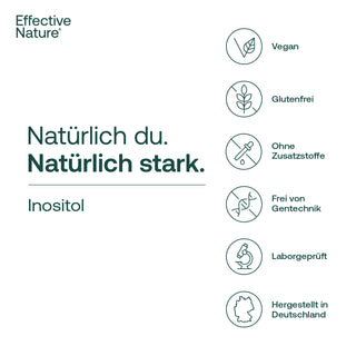 Inositol Pulver
