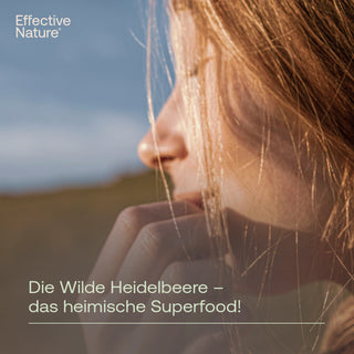 Bio Wilde Heidelbeere Pulver