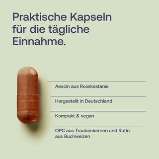 Rosskastanien Komplex