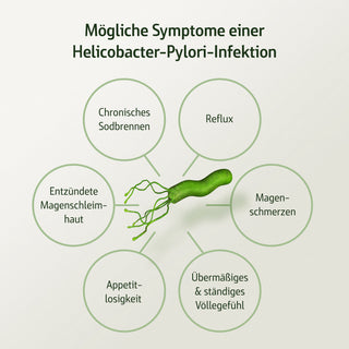 Combi Flora Antipylori mit Pylopass™