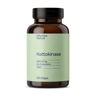 Nattokinase