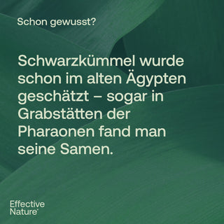 Schwarzkümmelöl