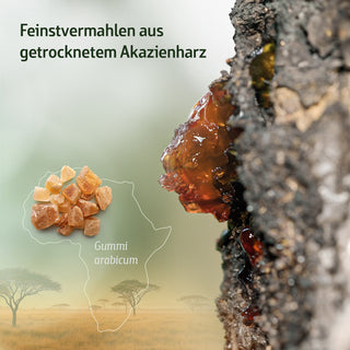 Combi Flora Akazienfaser 1000 g