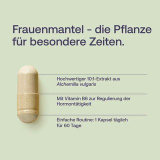 Infografik: Frauenmantel-Kapsel (Alchemilla vulgaris) mit Text zu Extrakt, Vitamin B6 und Dosierung