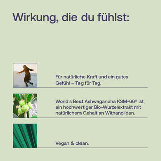 Infografik zu Ashwagandha KSM-66 mit Pflanzenmotiv, Person und grünen Blättern, Text: vegan & clean