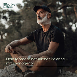 Pycnogenol® - Pinienrindenextrakt