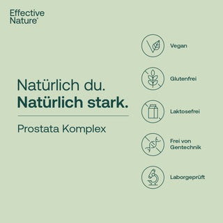 Prostata Komplex