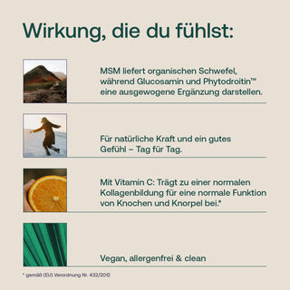 MSM Komplex Kapseln
