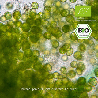 Bio-Chlorella