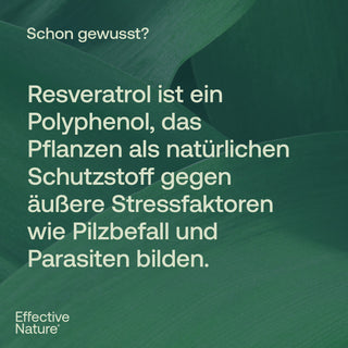 Resveratrol