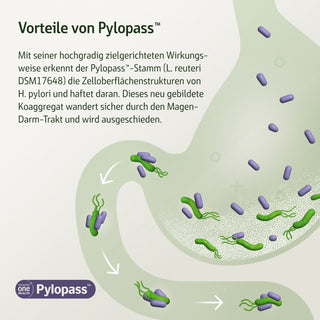 Combi Flora Antipylori mit Pylopass™