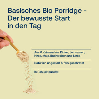 Basisches Porridge