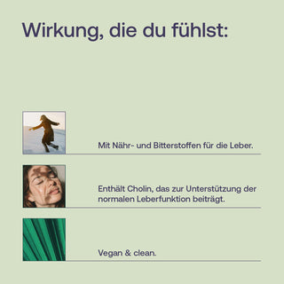 Artischockenextrakt mit Cholin